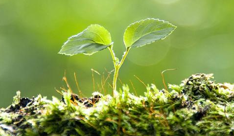 資源再生是對(duì)生命的負(fù)責(zé)